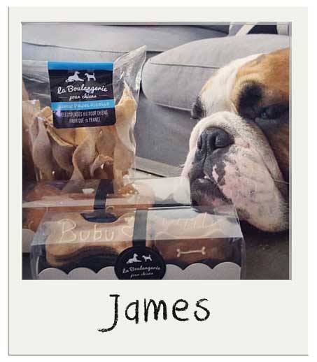 James avec nos Biscuits BIO pour chiens Poulet Risotto